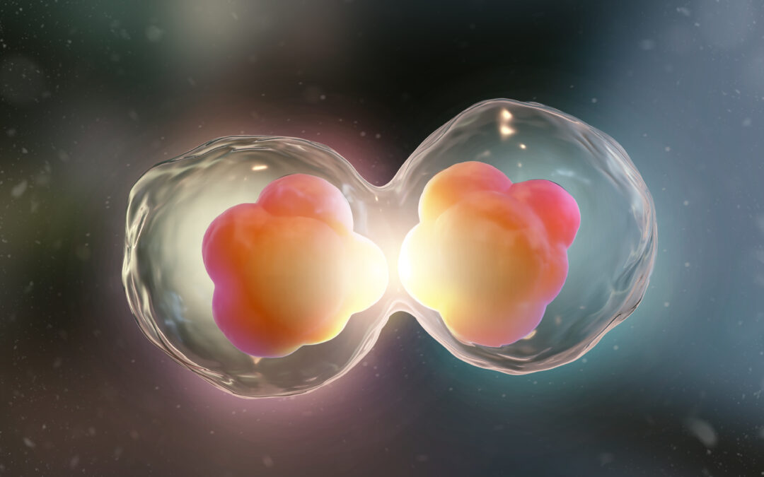 IDL Biotech develops rapid test for breast cancer