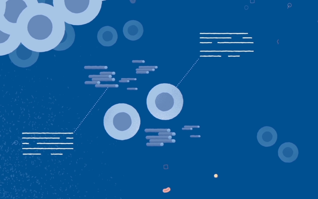 IDL Biotech AB takes a first step in introducing the rapid test for bladder cancer, UBC® Rapid, in the USA