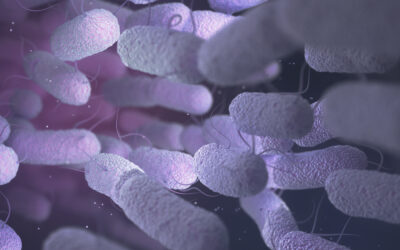 IDL Biotech signs distributor agreement in Ghana