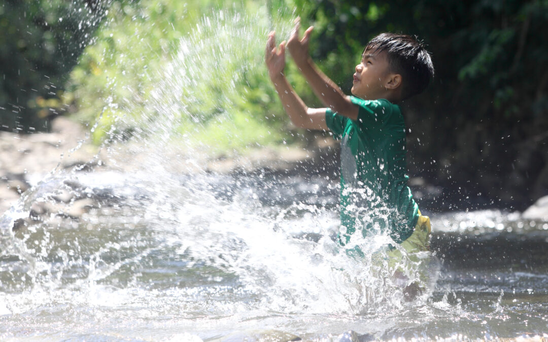 IDL Biotech signs distributor agreement in Zimbabwe