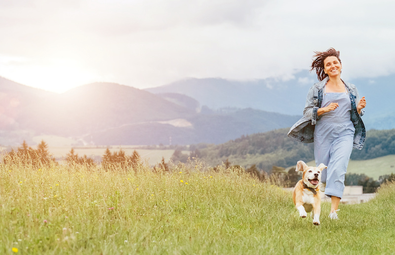 Happy smiling running beagle dog portrait with tongue out and owner female jogging by the mounting meadow grass path. Walking in nature with pets, happy healthy active people lifestyle concept image.